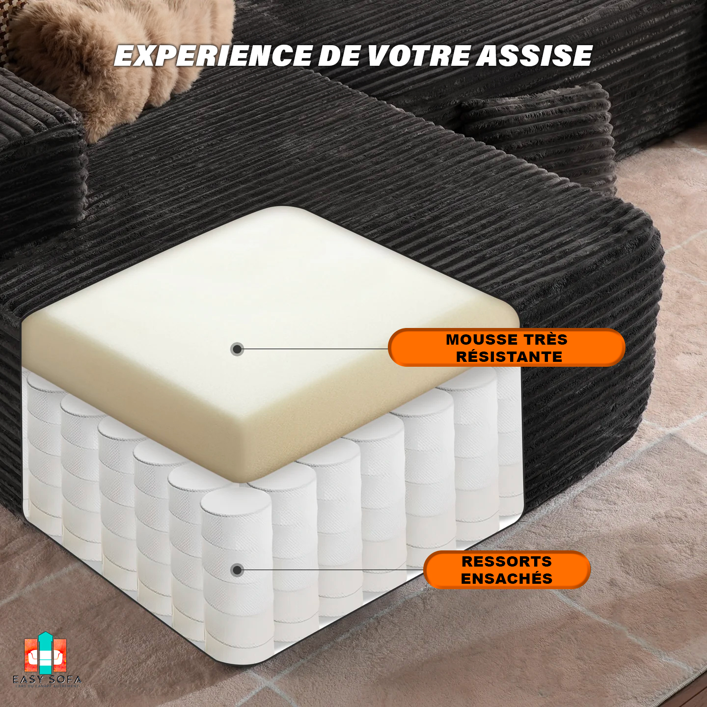 experience assise
