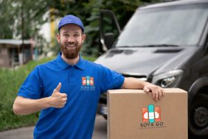 Canapé compressé livraison facile Canapé compressé livraison facile