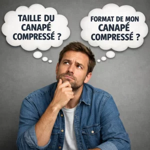 Canapé compressé pour studio : quelle taille et quel format choisir Canapé compressé pour studio : quelle taille et quel format choisir